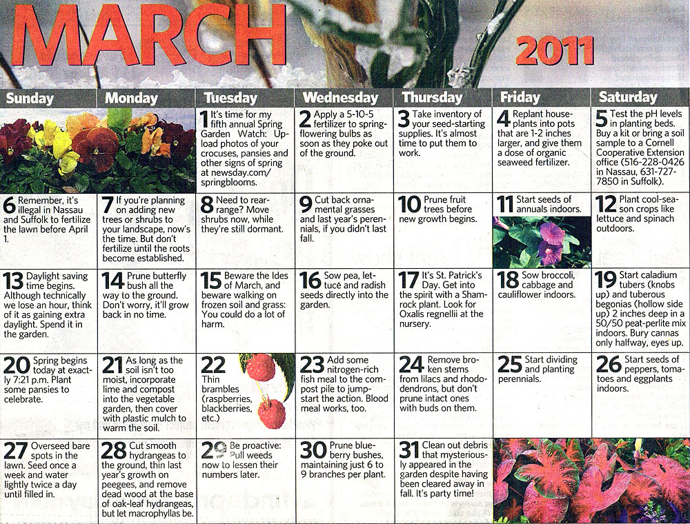 Calendar